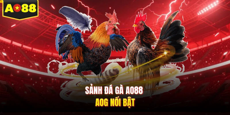 Sảnh đá gà AO88 - AOG nổi bật