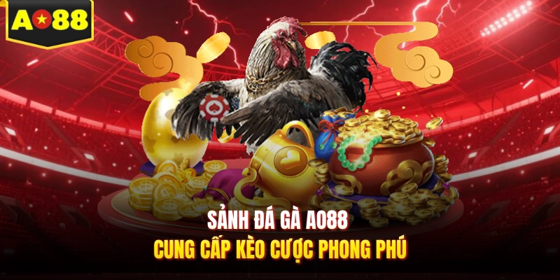 Sảnh đá gà AO88 cung cấp kèo cược phong phú