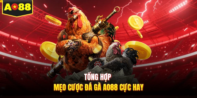 Tổng hợp mẹo cược đá gà AO88 cực hay