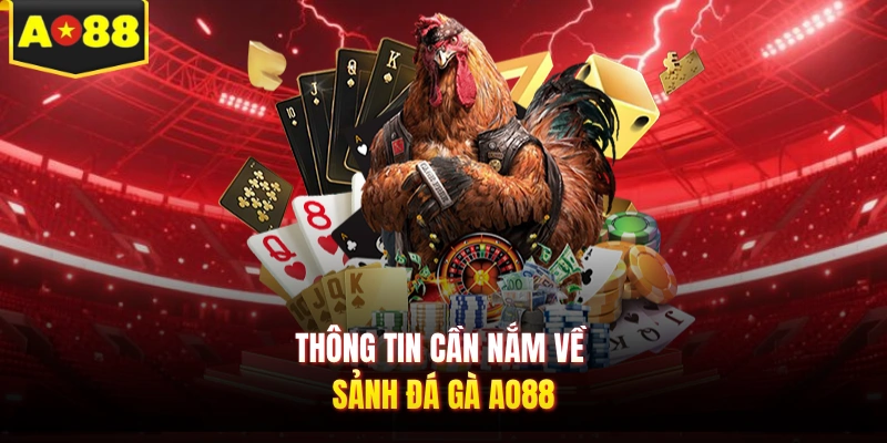 Thông tin cần nắm về sảnh đá gà AO88