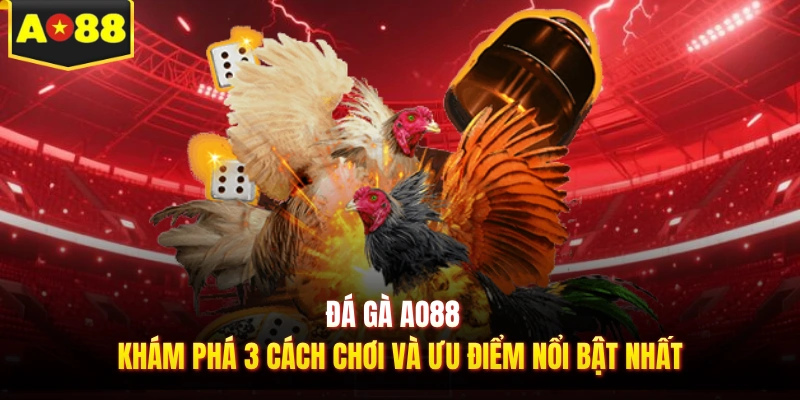 Đá gà AO88